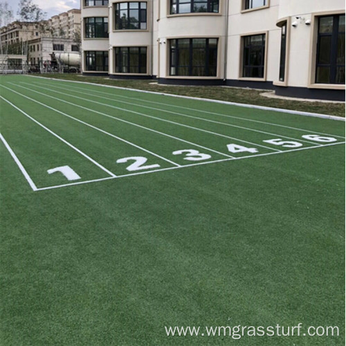 Gym Astro Turf Track Customized Artificial Grass Synthetic Turf for Gym Manufactory